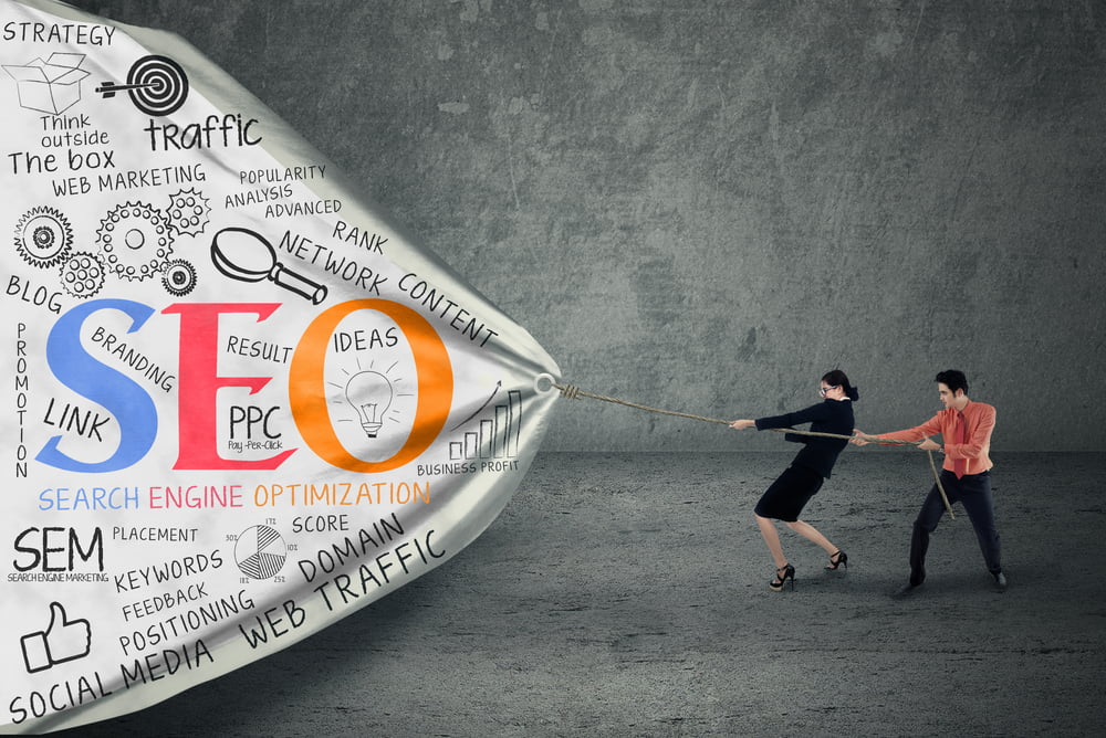 Website Search Engine Optimization